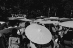 ceremony guests looking for shade under their umbrellas